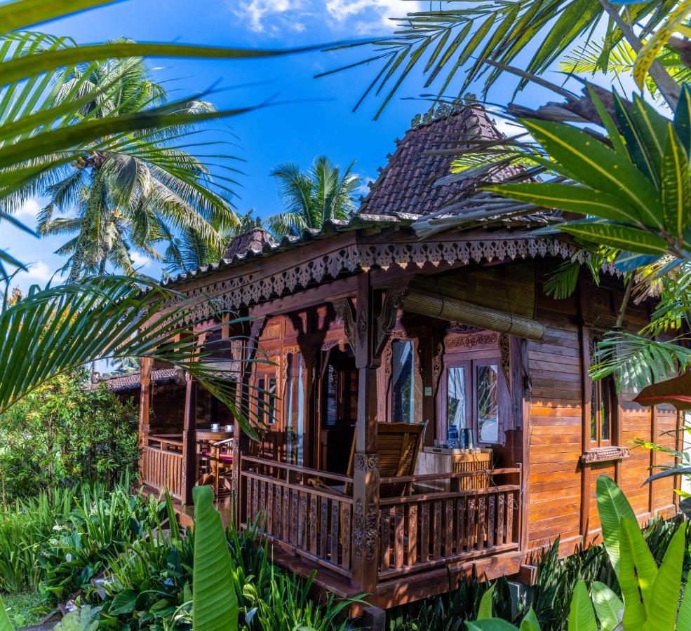 Neyang Ubud