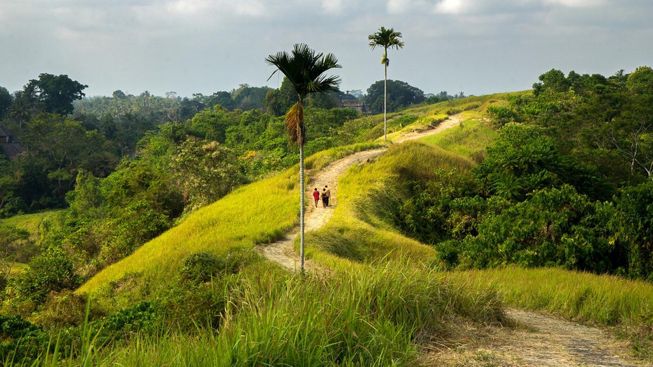 Neyang Ubud